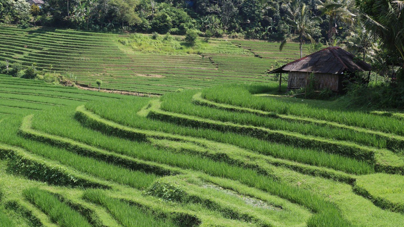 Off Season in Bali